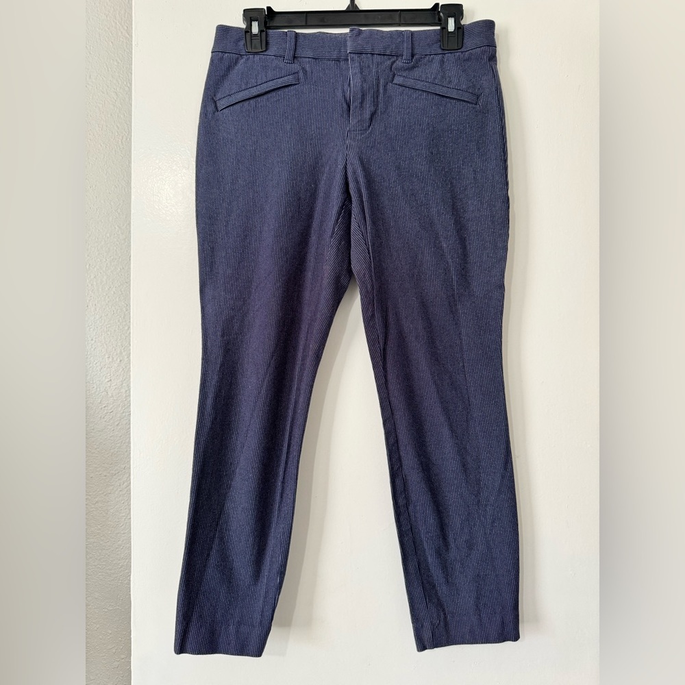 GAP Blue/White Striped Skinny Ankle Pants (8)